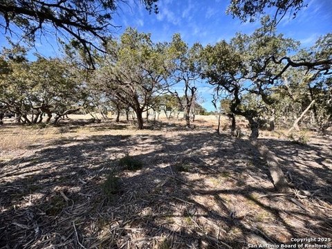 Bulverde, TX