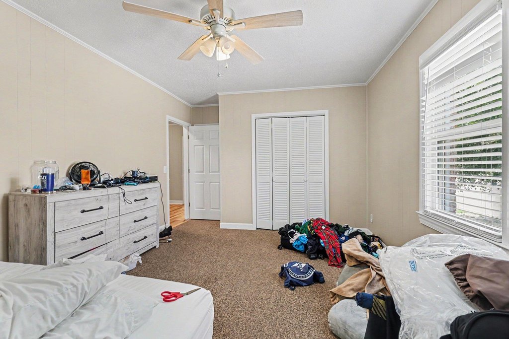 Picture 13