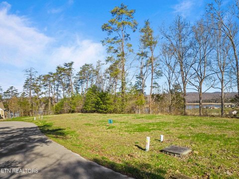 Lots & Acreage, Sharps Chapel, TN