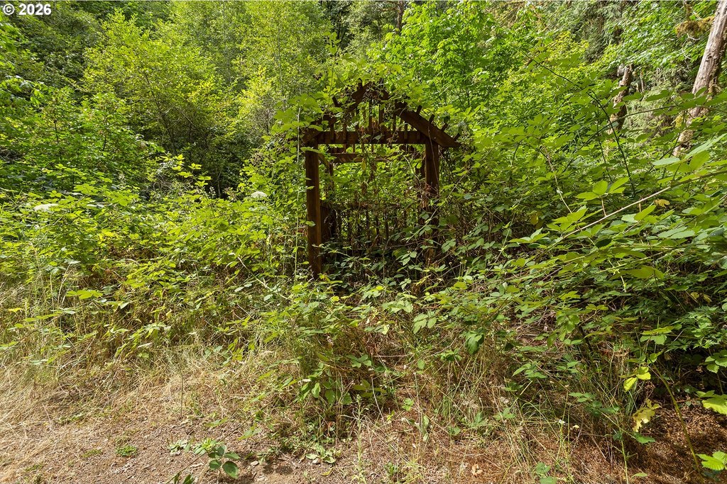 Picture 39