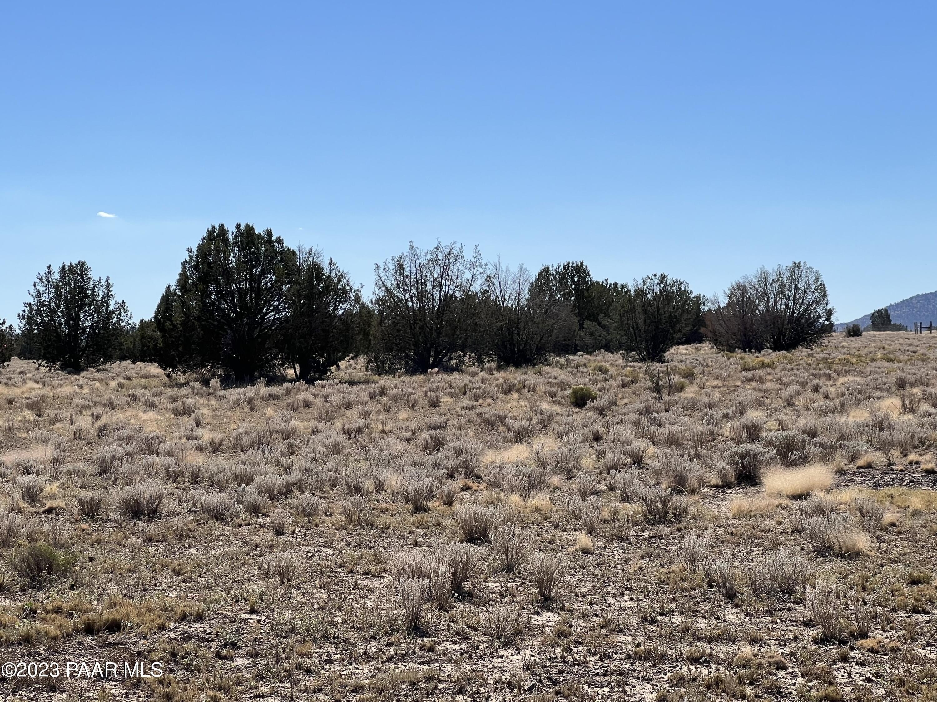 Usable Land in Ash Fork