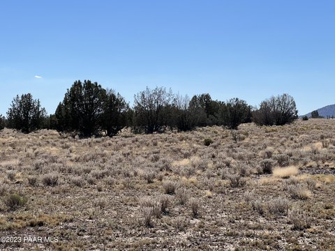 Usable Land in Ash Fork