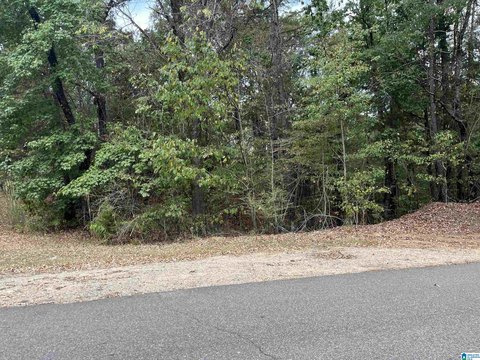 Corner Lot in Million Dollar Lakes
