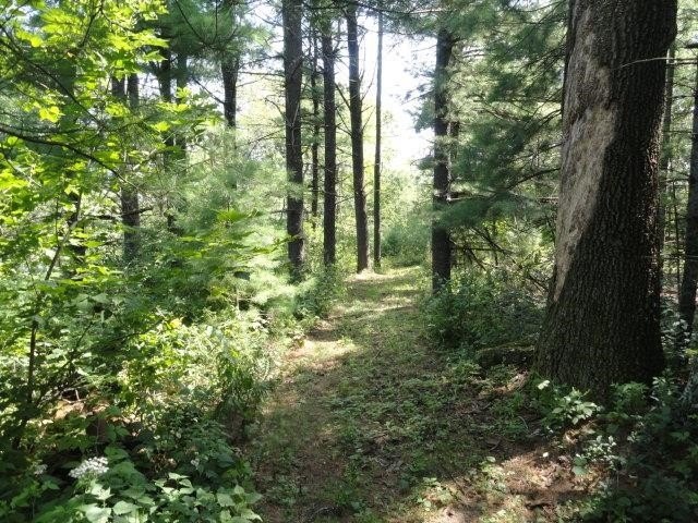 Picture 19