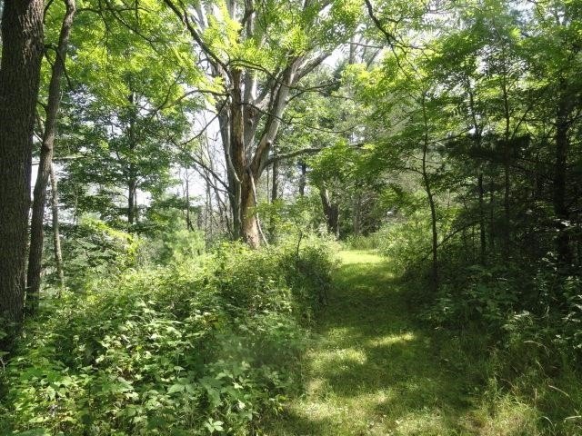 Picture 17