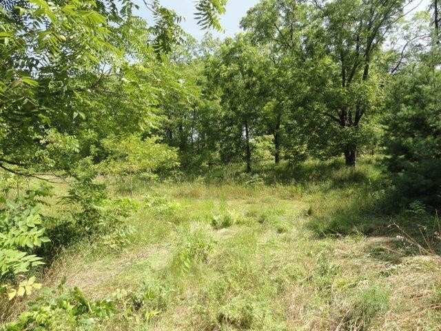 Picture 11