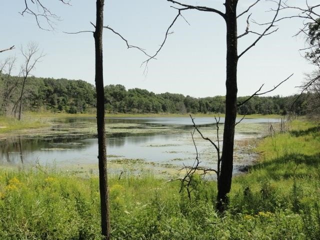 Picture 32