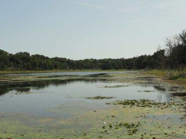 Picture 35