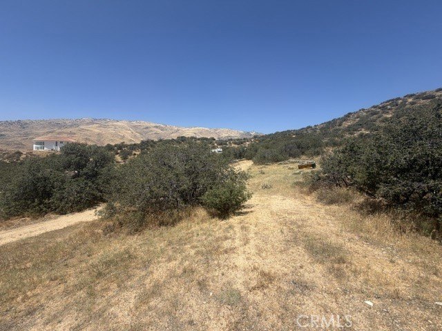 Picture 9
