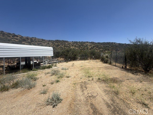 Picture 14