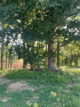 LAND - Paducah, KY