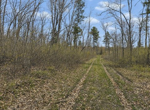 Wooded Lot Near Spooner