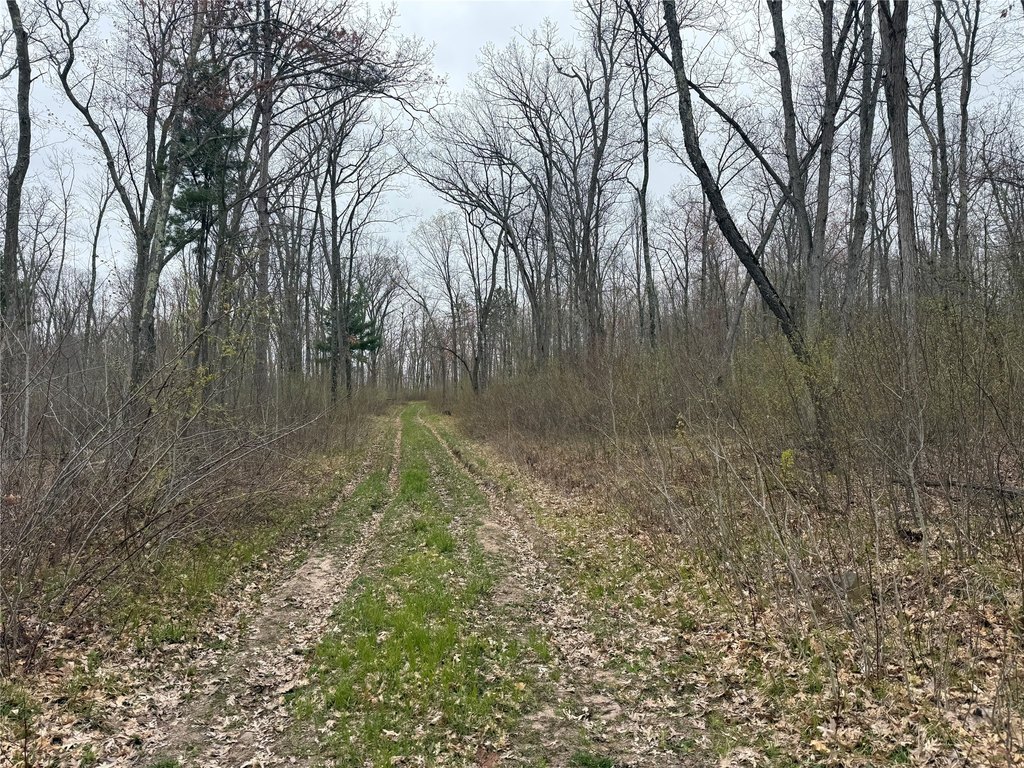 Picture 8