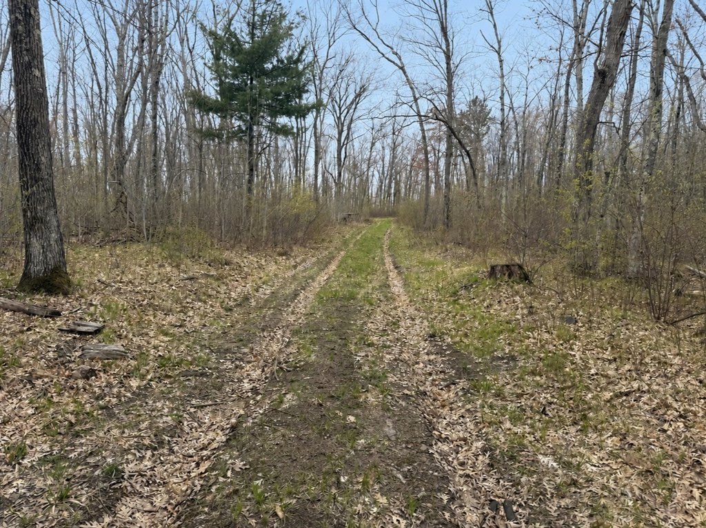 Picture 2
