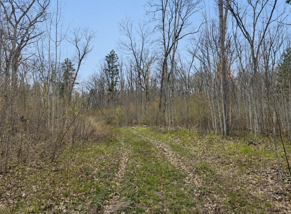Picture 4