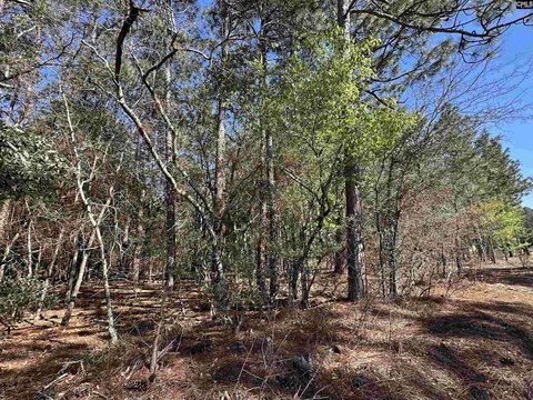 Residential Land in Gaston, SC