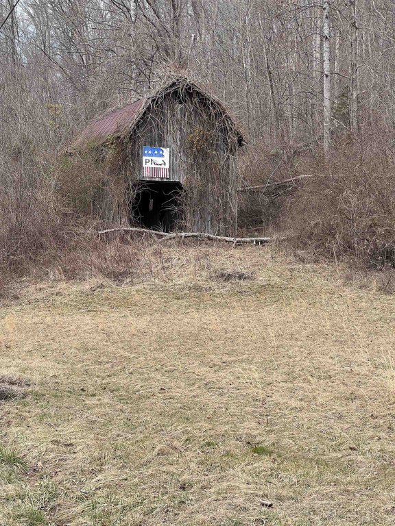Picture 4