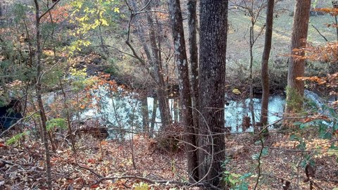 Land Near Gundy Creek