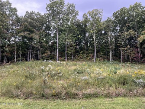 Cleared Building Lot in Crossville
