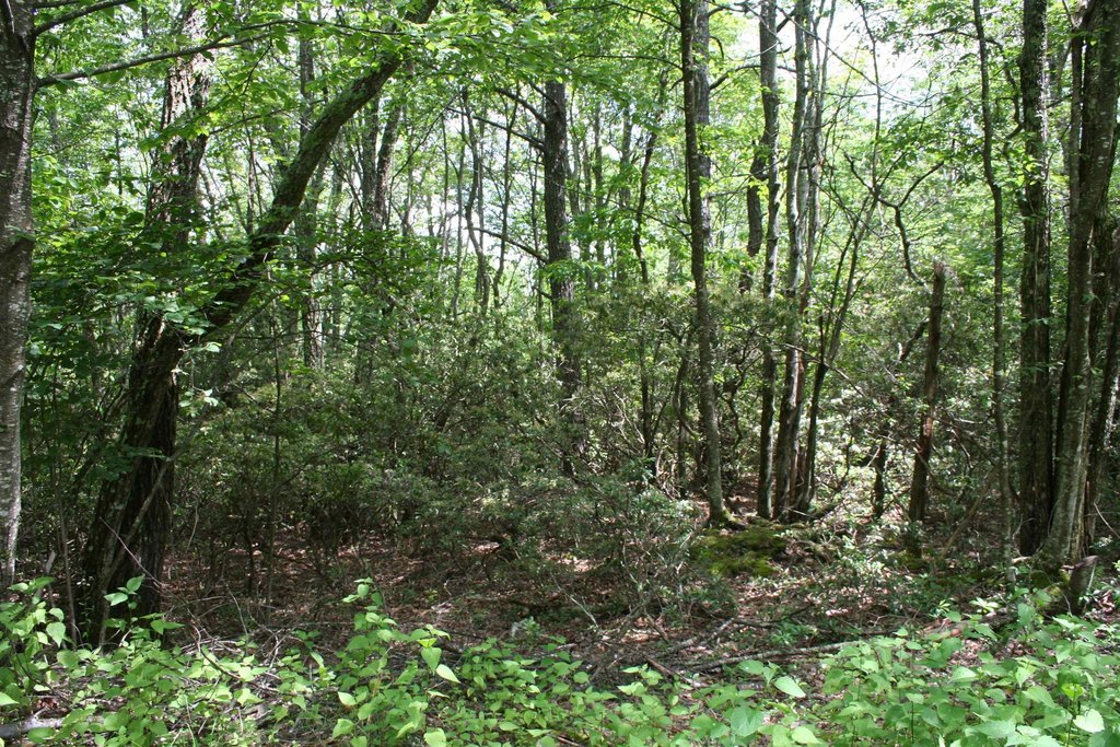 Picture 4