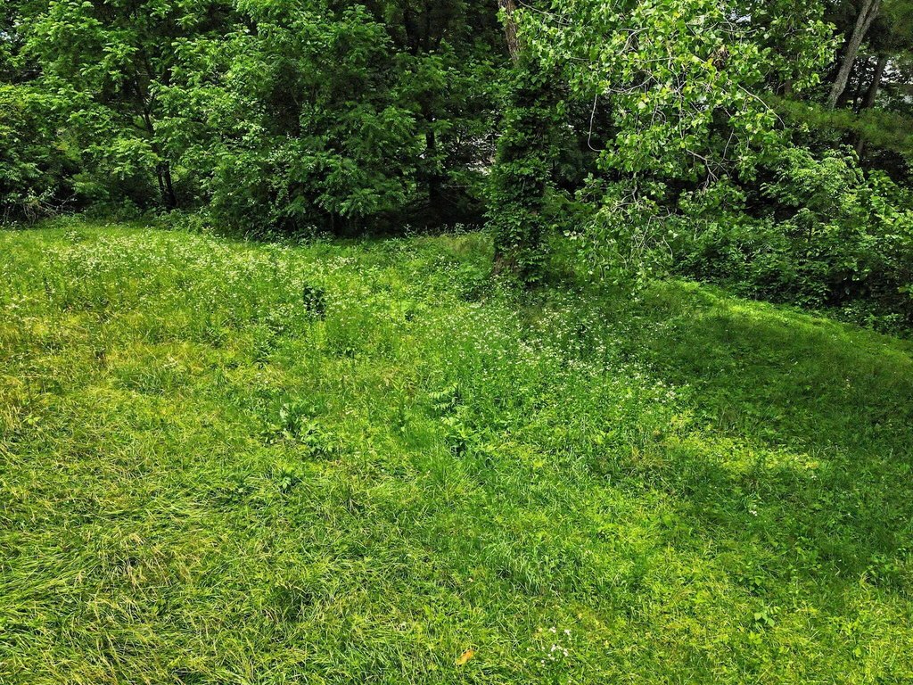 Picture 36