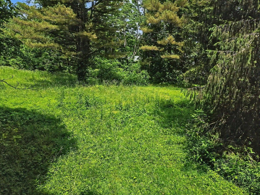 Picture 42