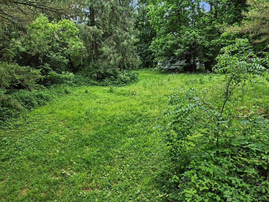 Picture 33