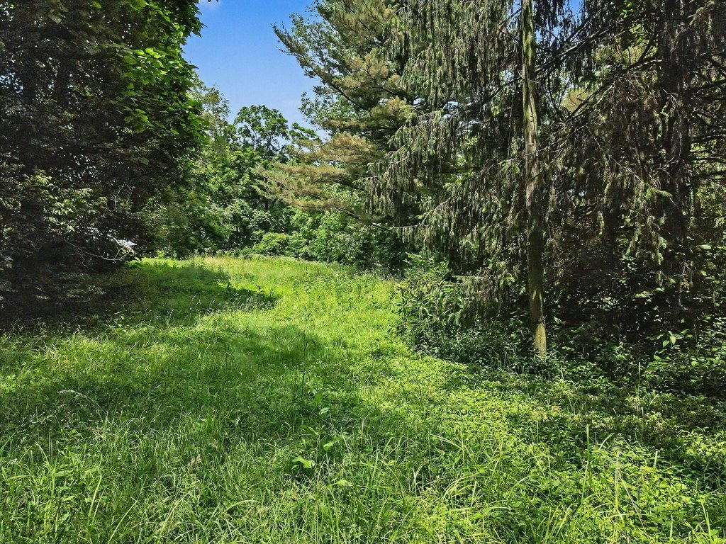Picture 39