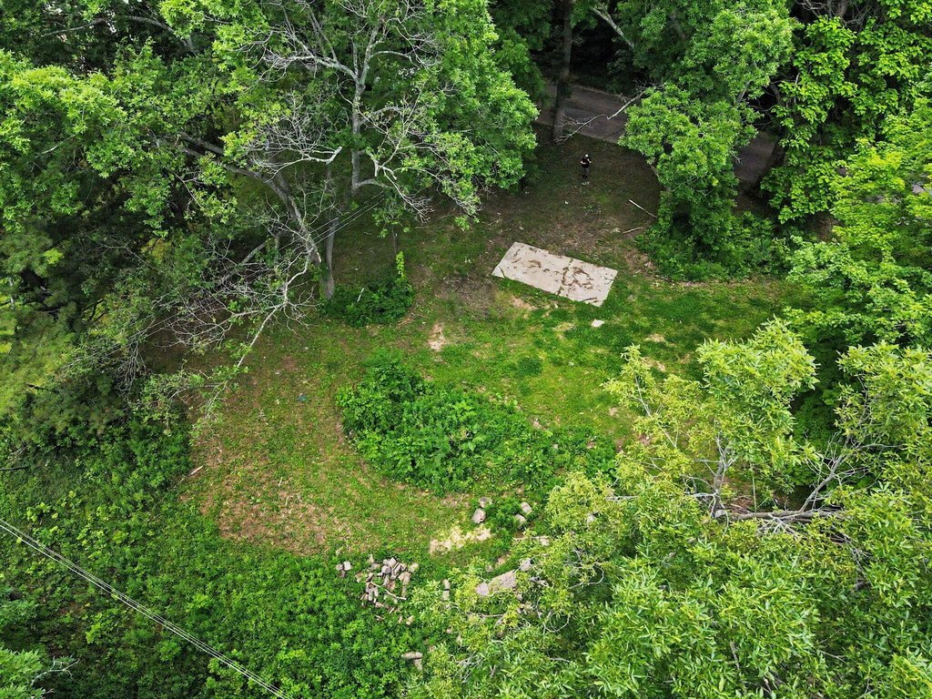 Picture 8