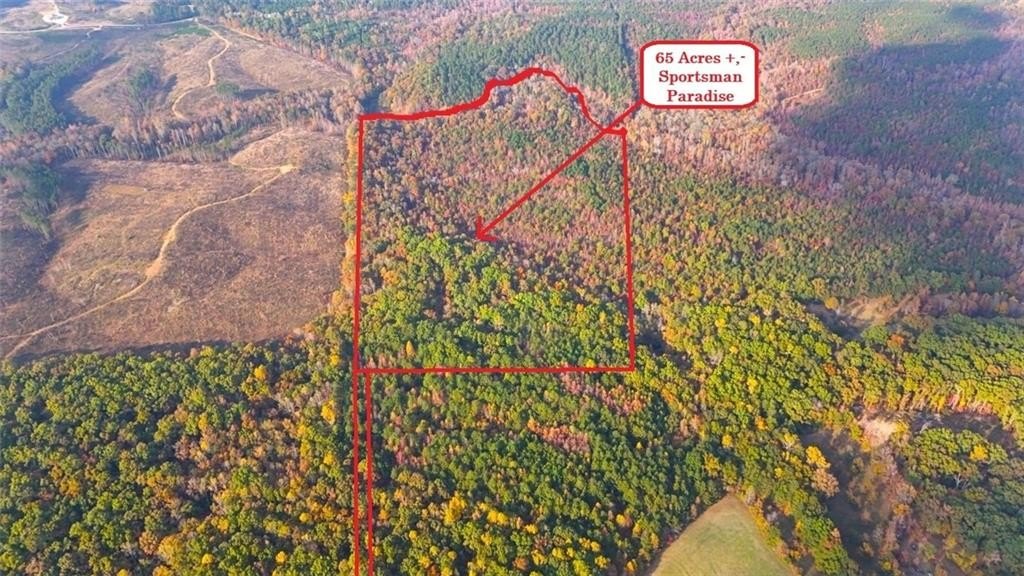 65-Acre Buchanan Recreational Land Parcel