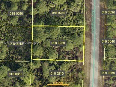 Residential Land in Lehigh Acres