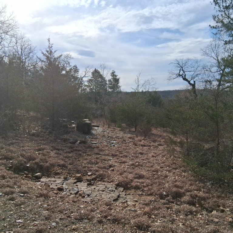 Picture 21