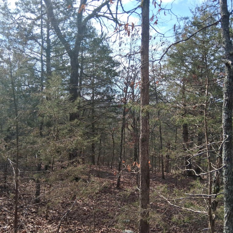 Picture 25