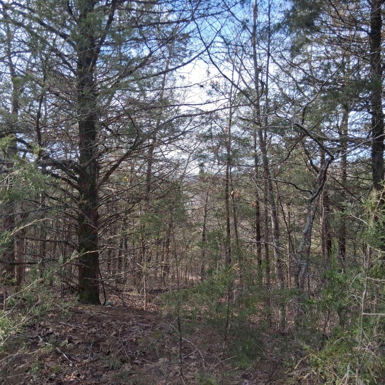Picture 23