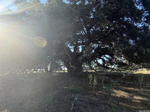 Land, Stockdale, TX