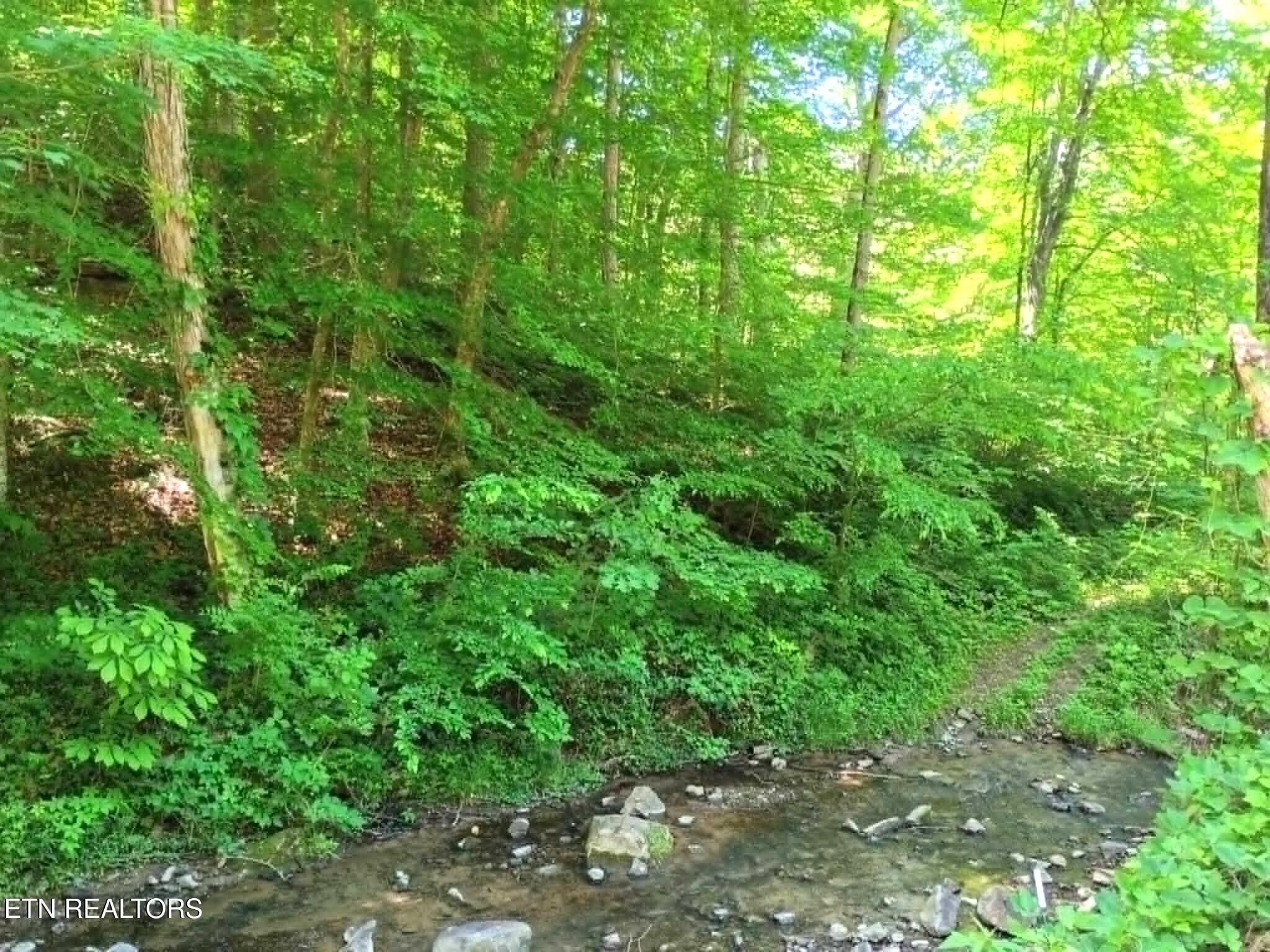 Residential Land in Powell, TN