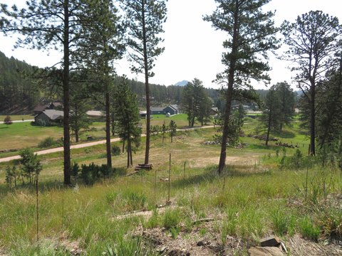 Residential Building Lot with Utilities