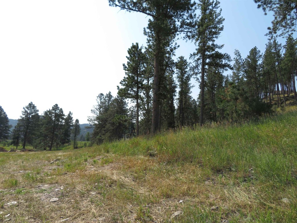 Picture 11