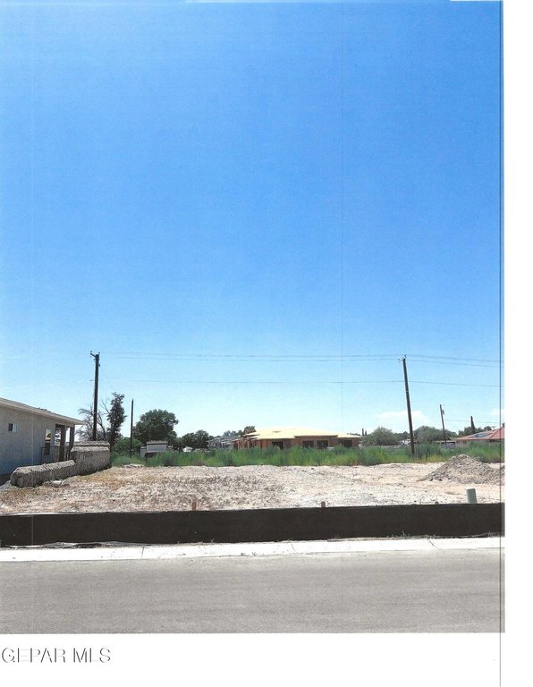 Picture 3