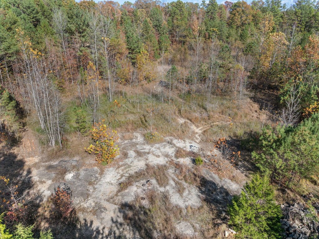 Picture 24