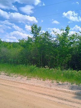 Kalkaska Wooded Acreage For Sale