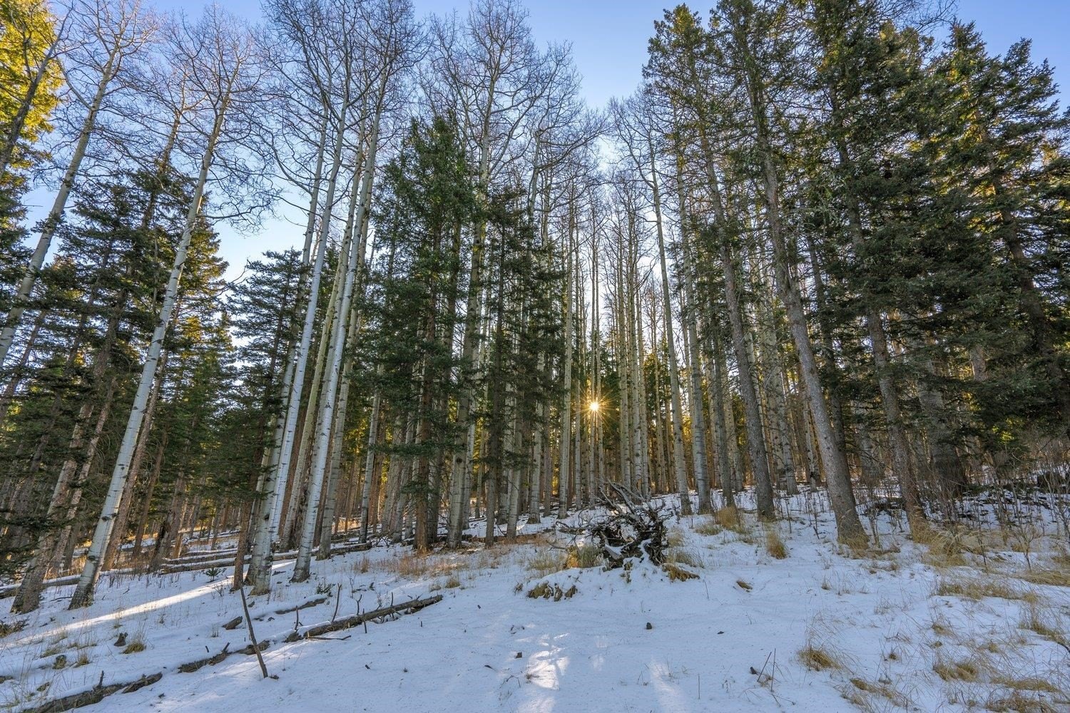 Angel Fire Land Near Lake