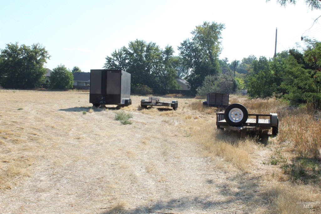 Picture 8