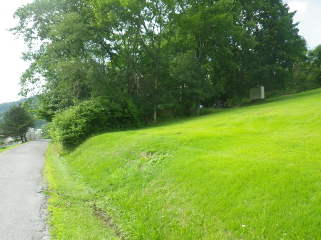 Picture 5