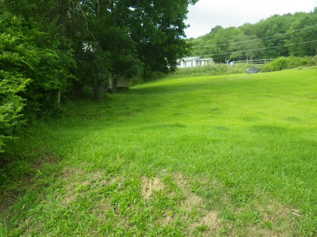 Picture 4