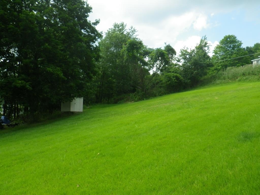 Picture 2