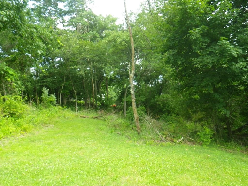 Picture 7