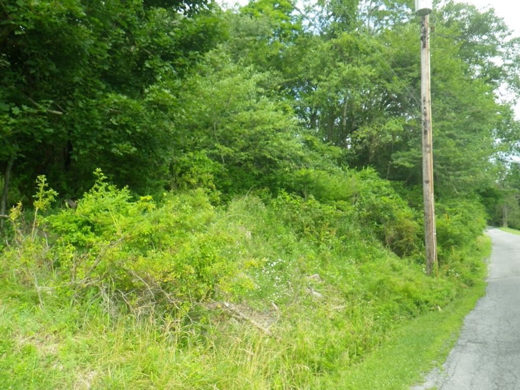 Picture 3