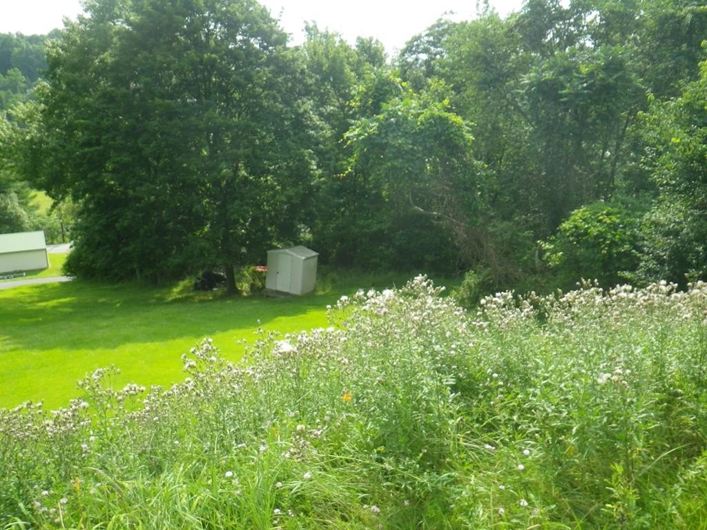 Picture 6