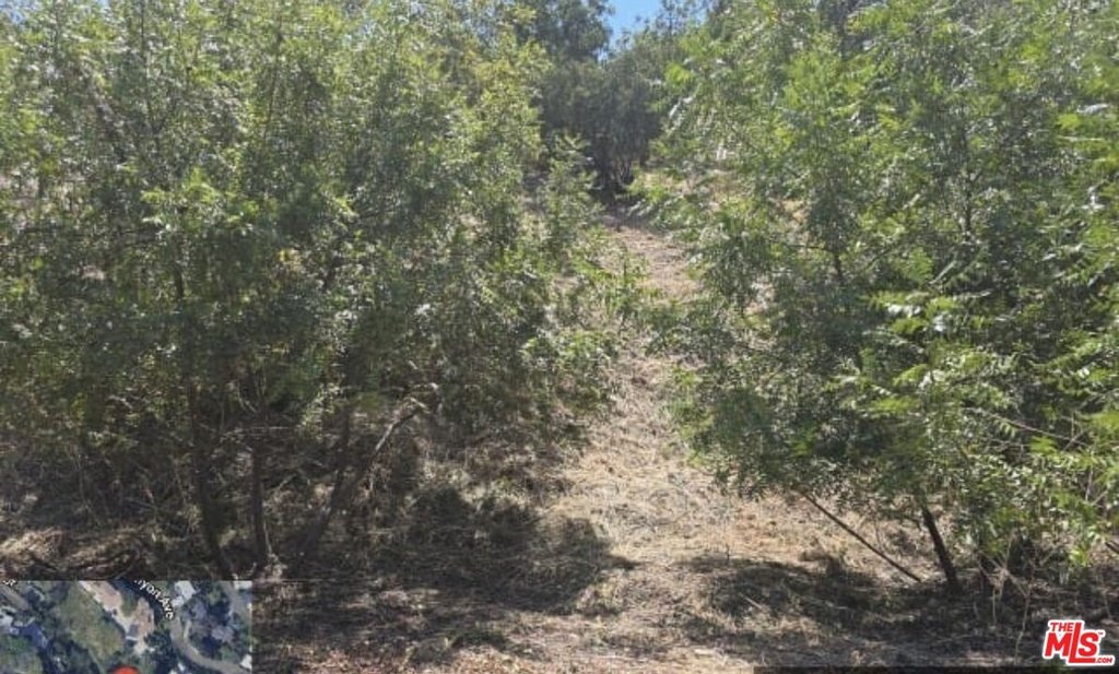 Picture 10